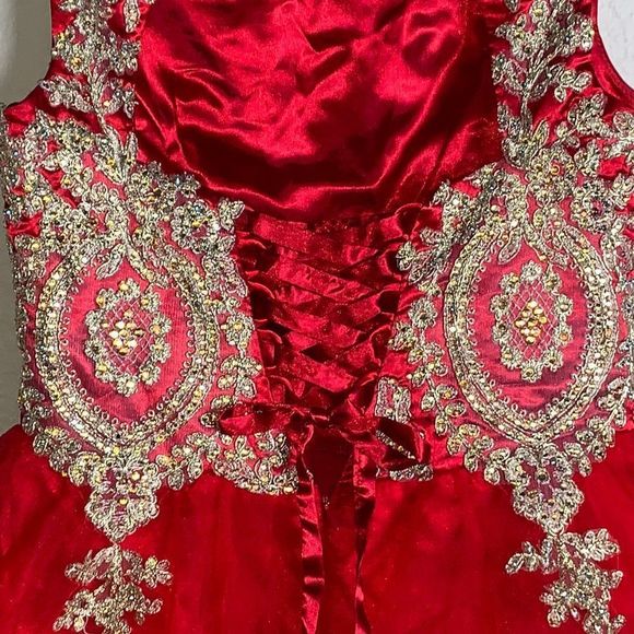 Petite Adele Chandra Dress - Picture 6 of 7